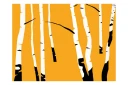 Fototapet Birches On The Orange Background 200x154 - Artgeist sp. z o. o.