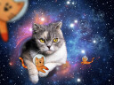 Ravensburger Puslespill 1500 Katter Ravensburger