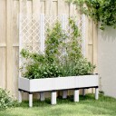 Plantekasse med espalier hvit 120x40x142 cm PP