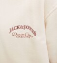 Jack & Jones Jjebrandes Backp Relaxed Sweat H Sn Jnr Cream 140