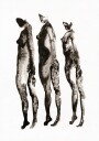 Figure Study 3x Plakat / 40x50cm