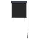 vidaXL Utendørs rullegardin 60x250 cm antrasitt