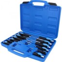 Brilliant Tools BT034012 Skrutrekkersett 12 Deler Håndverktøy