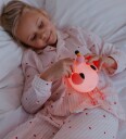 Led Flamingo Nattlampe