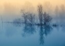 Morning reflection Plakat / 100x150cm