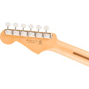 Fender Player Ii Stratocaster Hss Mn, Black
