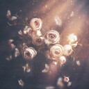Dreamy Floral Butterflies Plakat / 50x50
