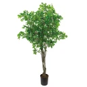 Mr Plant Benjaminfiken 300 cm