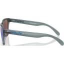 Oakley Frogskins Sapphire Polarized OO9508-0553