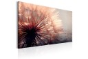 Tavle Pink Gentleness 90X60 Artgeist sp. z o. o.