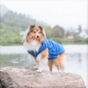 Blått Hundedekken Med Fleece