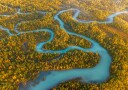 Winding River Autumn Forest Plakat / 30x40
