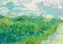 Green Wheat Fields Auvers By Vincent van Gogh Plakat Plakat / 100x150cm