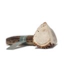 Taki Deer Antler Xxl 20Cm (01-609)