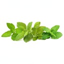 Click And Grow Smart Garden Refill 9 pack   Calming Tea Mix