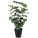 Eucalyptus kunstig plante H55 286377