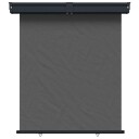 vidaXL Balkong Side Markise 160 x 250 cm 100% polyester jern stål