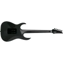 Ibanez RGRT420-WK Elgitar RG Standard
