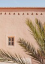 Palm leaves and a clay building in Morocco Plakat Plakat / 50x70cm