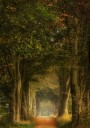 Daydreamer Plakat Plakat / 50x70cm