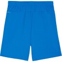 Puma teamgoal shorts treningsshorts herre blue s