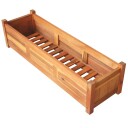 vidaXL Høybed 2 stk akasietre 100x30x25 cm