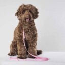Tyylivoitto Hundekobbel Flettet Lysrosa (16Mm X 200Cm)