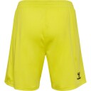 Danmark 24/25 Keepershorts Gul M