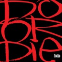 Do Or Die  Picture This  CD