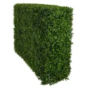 Mr Plant Buxbom Busk 75 cm