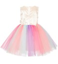 Souza Kostymer Unicorn Multi Farge Souza 2 år (92) Kostymer 101133-NC