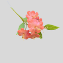 Fmm Utstikkersett Store Blomster Sett/2 