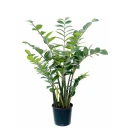 Mr Plant Zamifolia i potte 130 cm