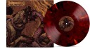Hell Is Here Hell Is Home Vinyl