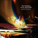 Quinsin Nachoff  Patterns from Nature  CD