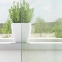  Voilegardiner med hemper 2 stk lysegrå 140x225 cm 8721158553140