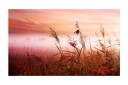 Fototapet Morgen Eng 450x270 - Artgeist sp. z o. o.