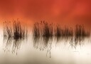 serenity Plakat / 100x150cm