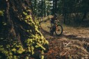 Rocky Mountain Element Carbon 30SLX spec 29" 2024