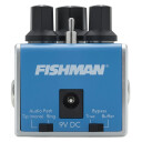 Fishman Afx Echoback Mini Acoustic Guitar Delay Pedal
