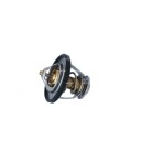 Termostat NRF 725174