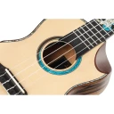 Ortega Guitars Ortega Eaglesuite-U Private Room Eagle Suite, Concert Size Ukulele