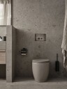 Tapwell TA220 toalettbørste Brushed Black chrome