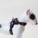 LEO-K9 ett klikk hundesele