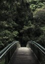 Forest Crossing Plakat Plakat / 21x30cm