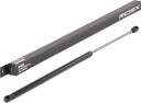 RIDEX 219G0525 Baklukedemper