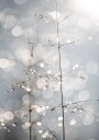 Natural Sparkle Plakat / 100x150cm