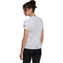 adidas Terrex Agravic Løpe T skjorte Dame Hvit M