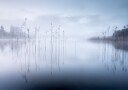 Tranquil Misty Morning Plakat / 30x40