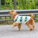 Little&Bigger Check Hundegenser str. 30 Grønn